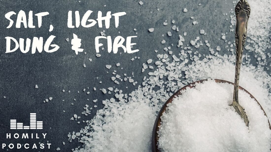 Salt, Light, Dung, and Fire